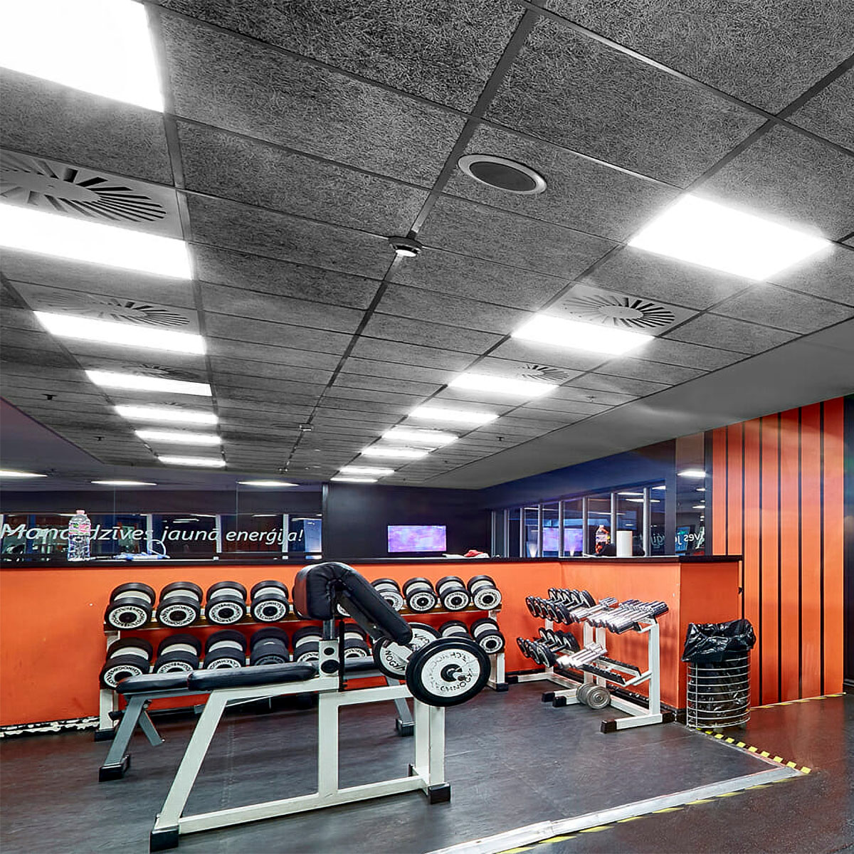 The 11 Best Commercial Acoustic Ceiling Tile Options for 2024