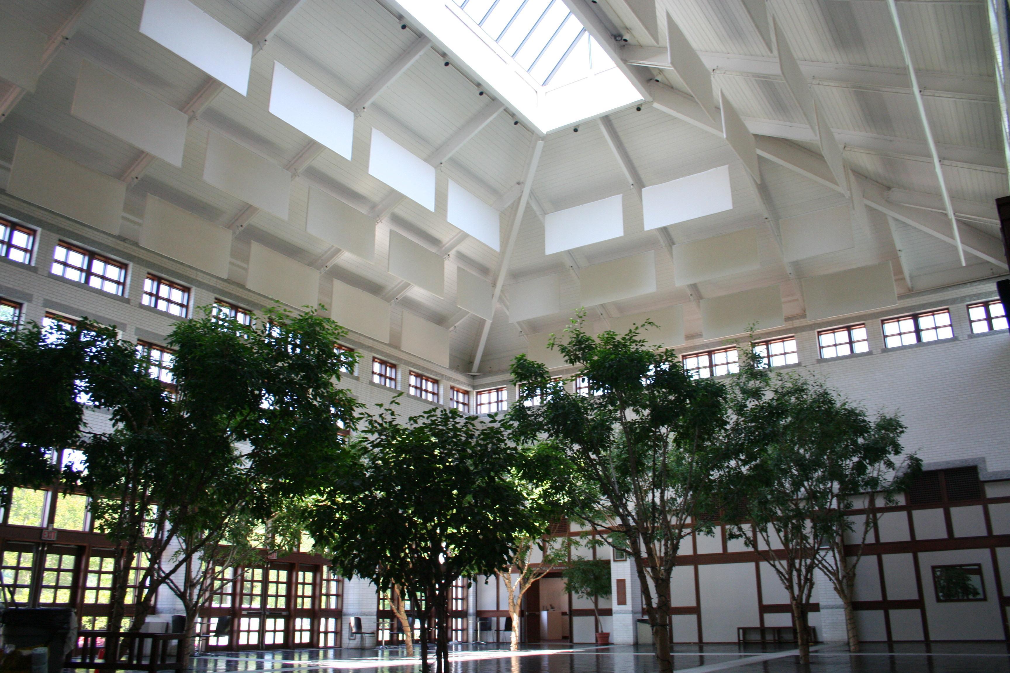 Virginia Museum of Contemporary Art - Museum atrium using AlphaSorb hanging baffles in ceiling to reduce ambient noise and reverb.