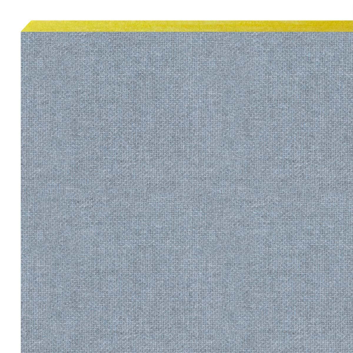 AlphaSorb® Acoustic Ceiling Tile