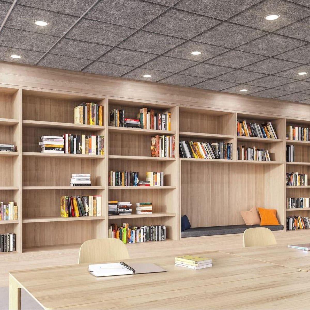 Decorative Acoustical Ceiling Tiles in a Library