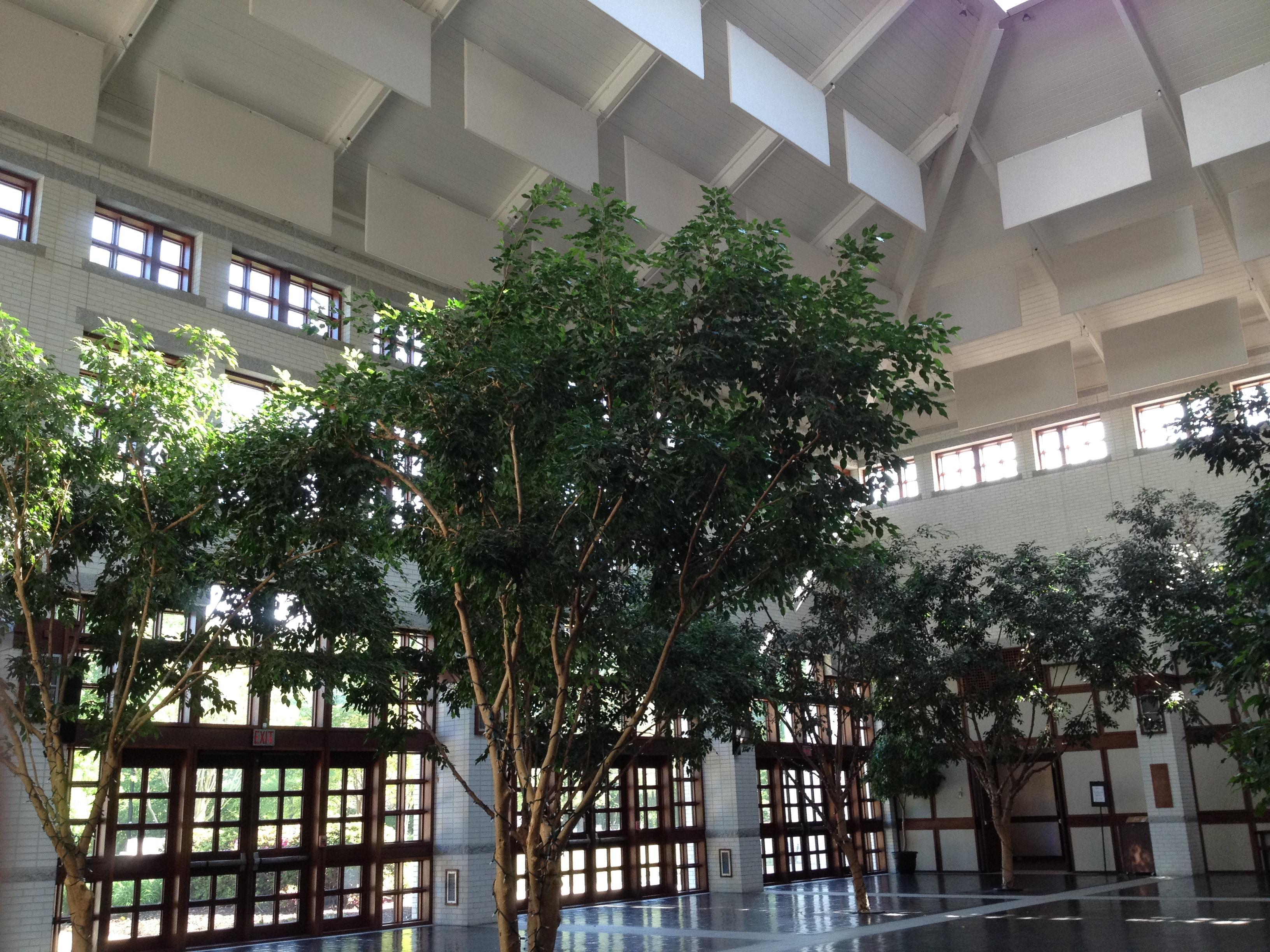 Fabric wrapped sound baffles hang in a museum atrium to treat the acoustics in the space.