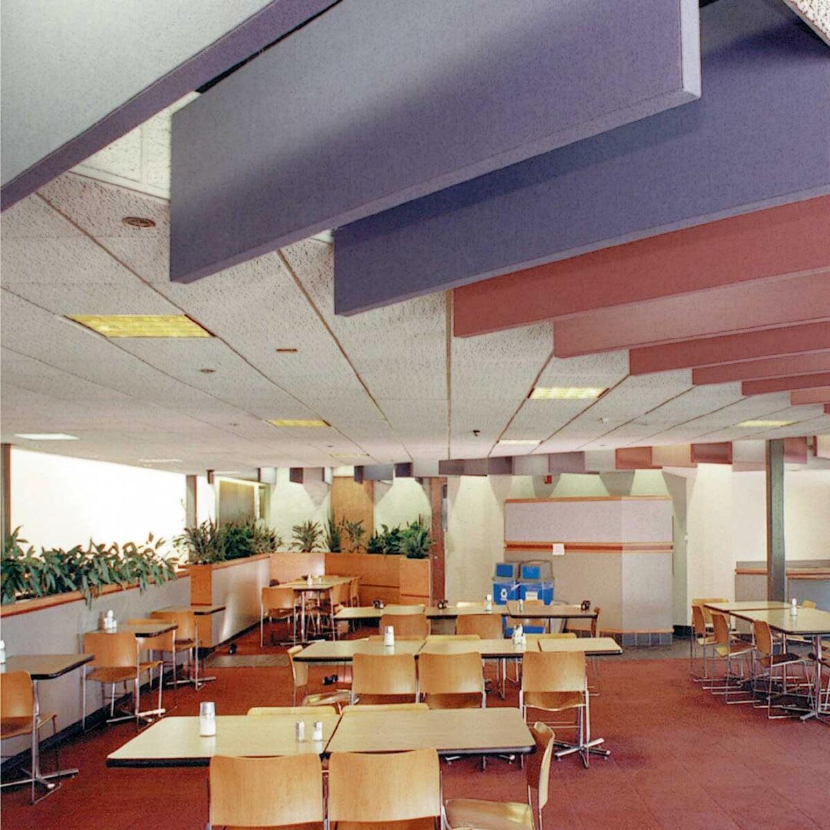 AcoustiForm Sound Baffle