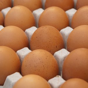 Egg Cartons Get Egg on Their Face in Acoustics Test