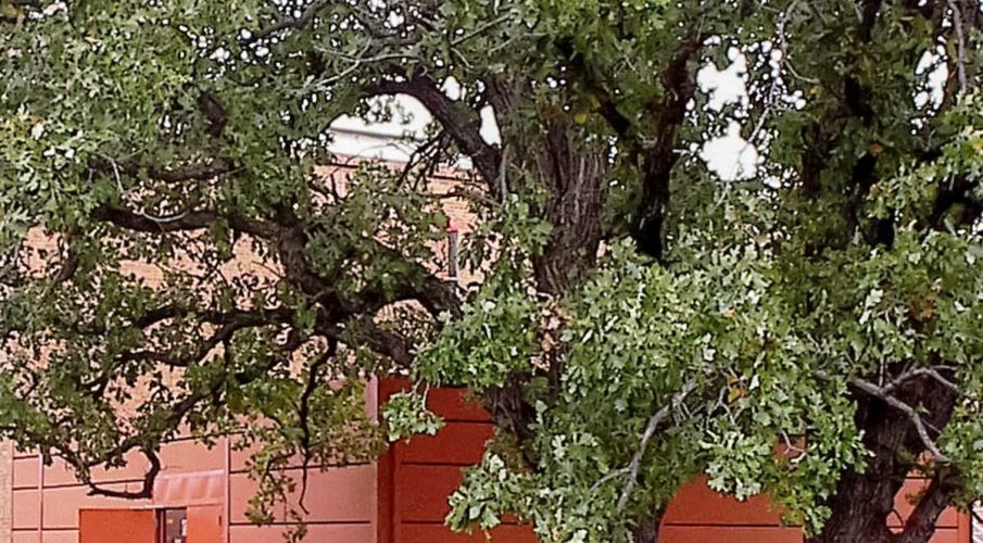 Fridley School System Acoustical Solutions