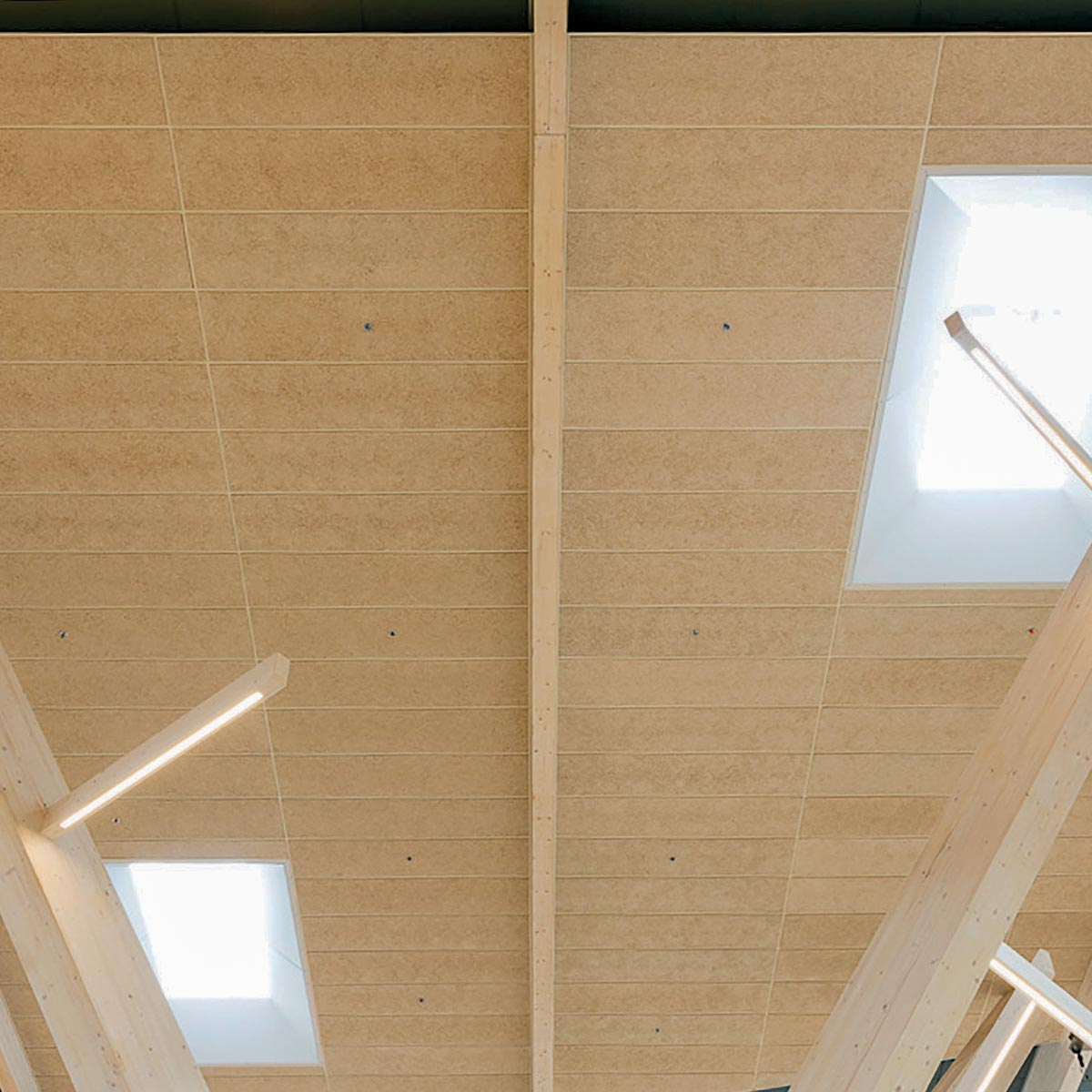 Alphasorb Wood Fiber Acoustic Ceiling Tile Acoustical